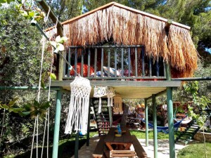 Tree House - Play Ground